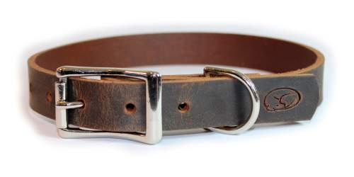 American Traditions Leather and Ribbon Dog Leash