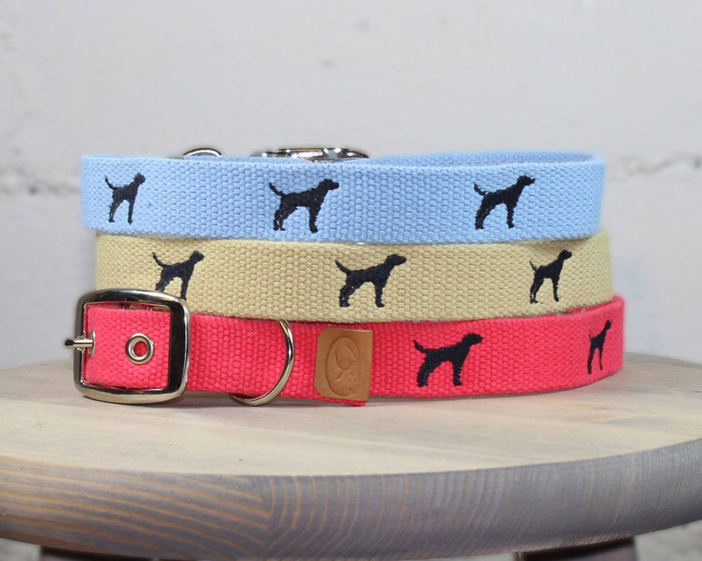 Black Lab Dog Collar