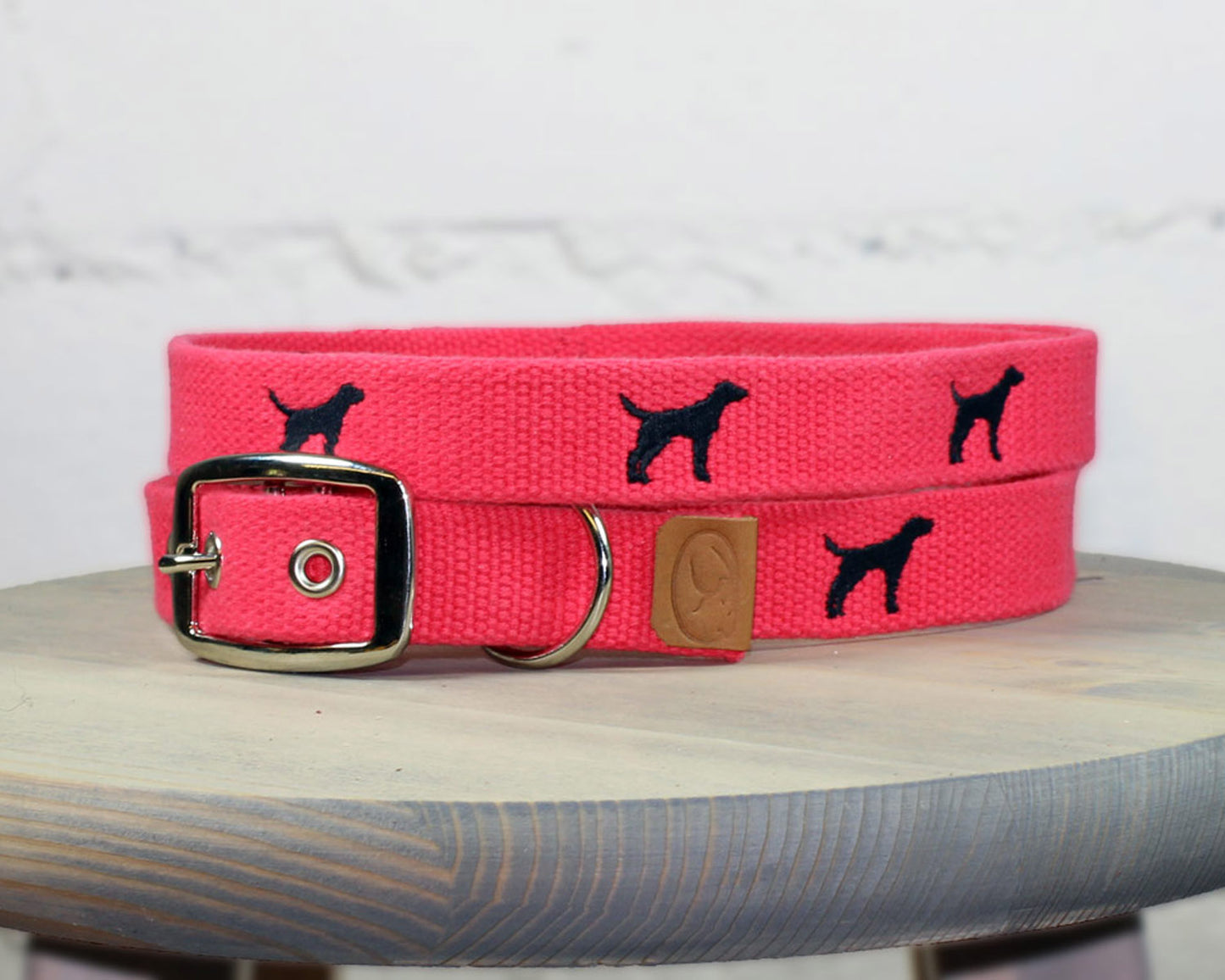 Black Lab Dog Collar