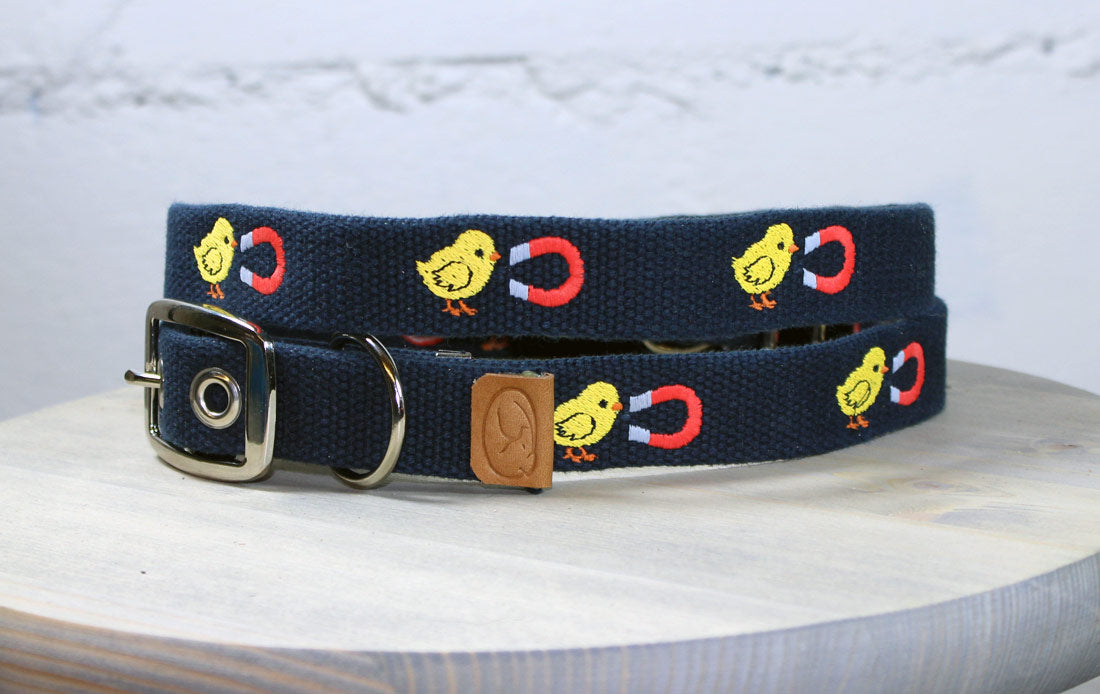 Chick Magnet Dog Collar