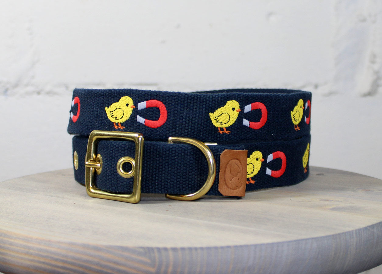 Chick Magnet Dog Collar