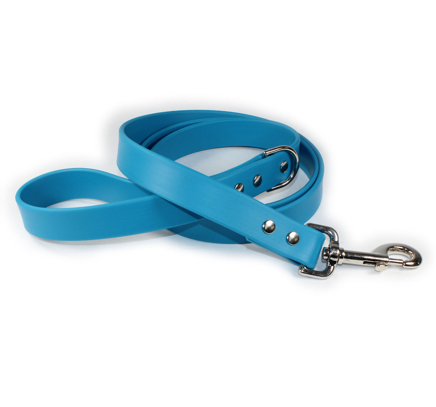 Blue Dog Leash