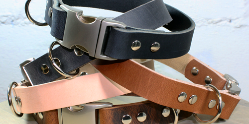 Photo of Leather Collars