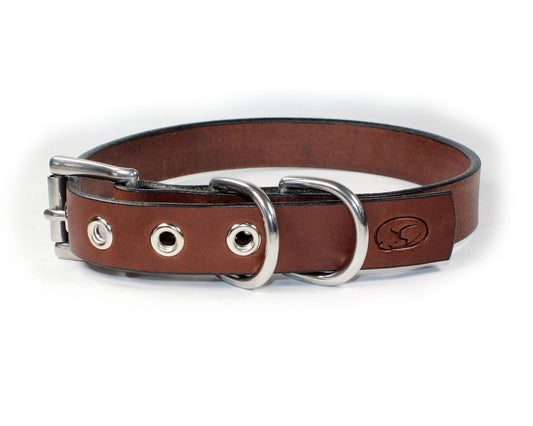 Deluxe Bridle Leather Dog Collar
