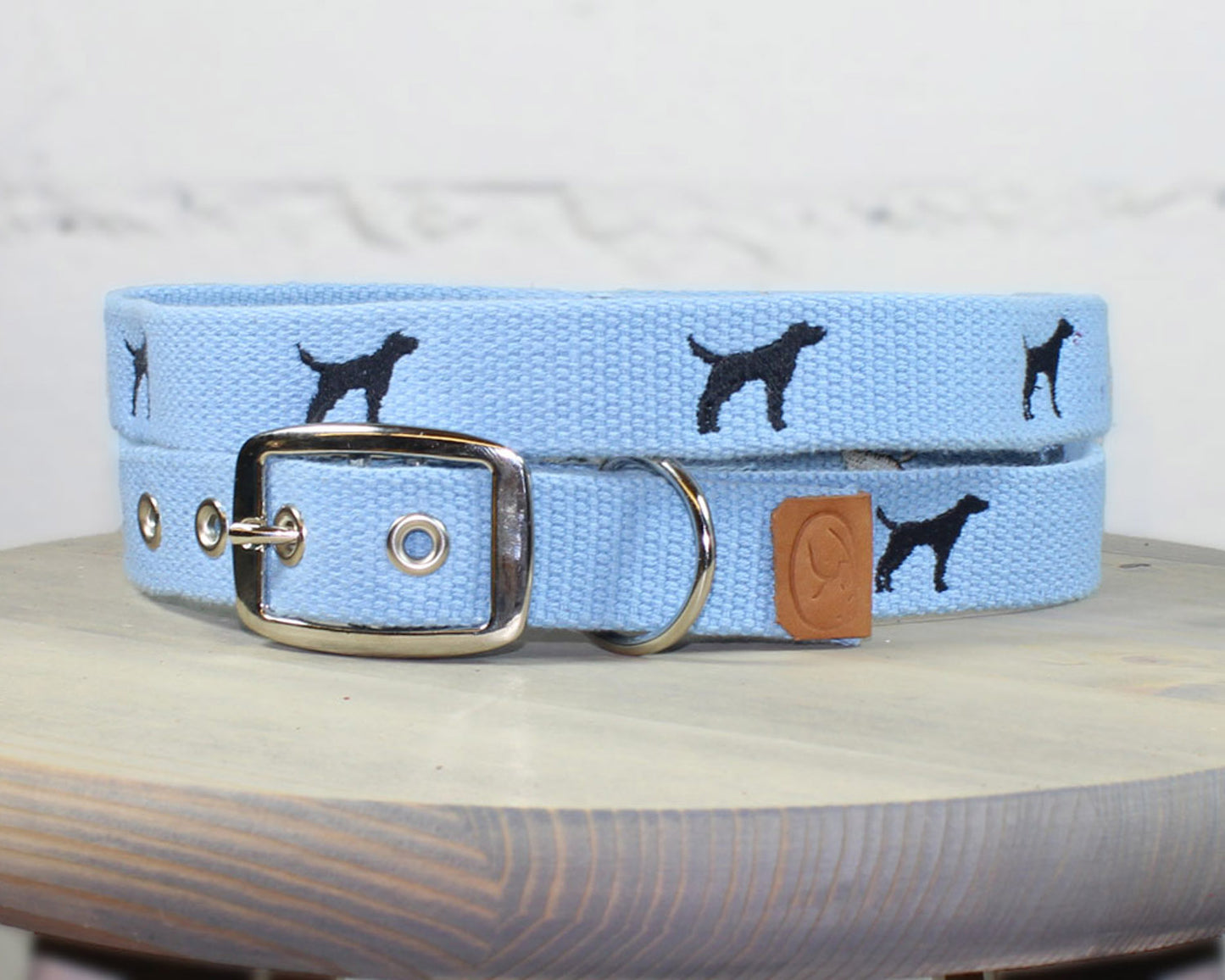 Black Lab Dog Collar