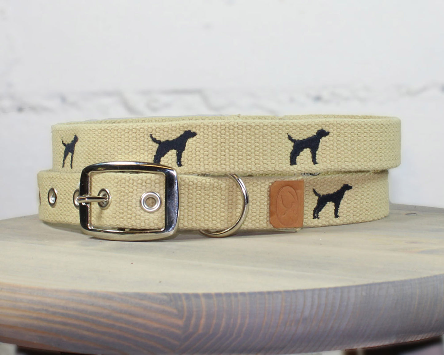 Black Lab Dog Collar