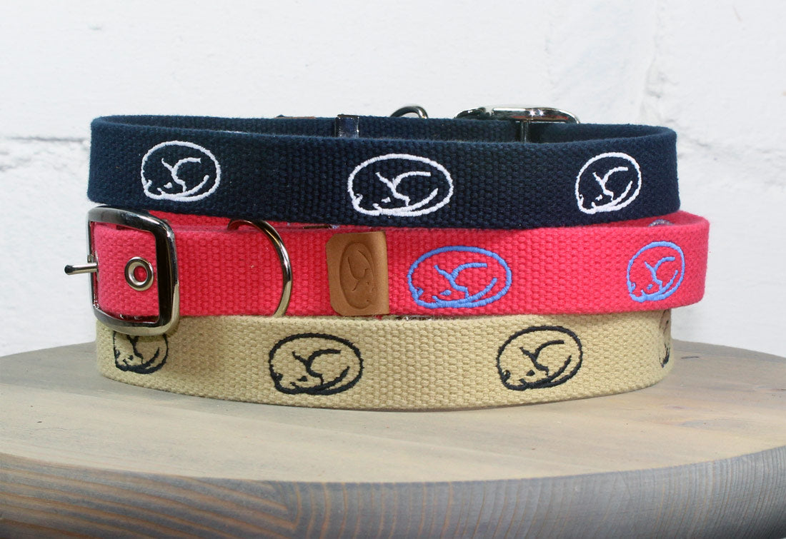Sleepy Pup Trier Embroidered Dog Collar
