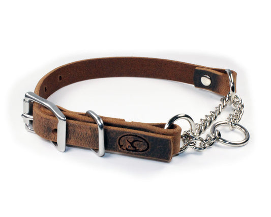 3/4" Small Dog Adjustable Leather Martingale Chain Dog Collar