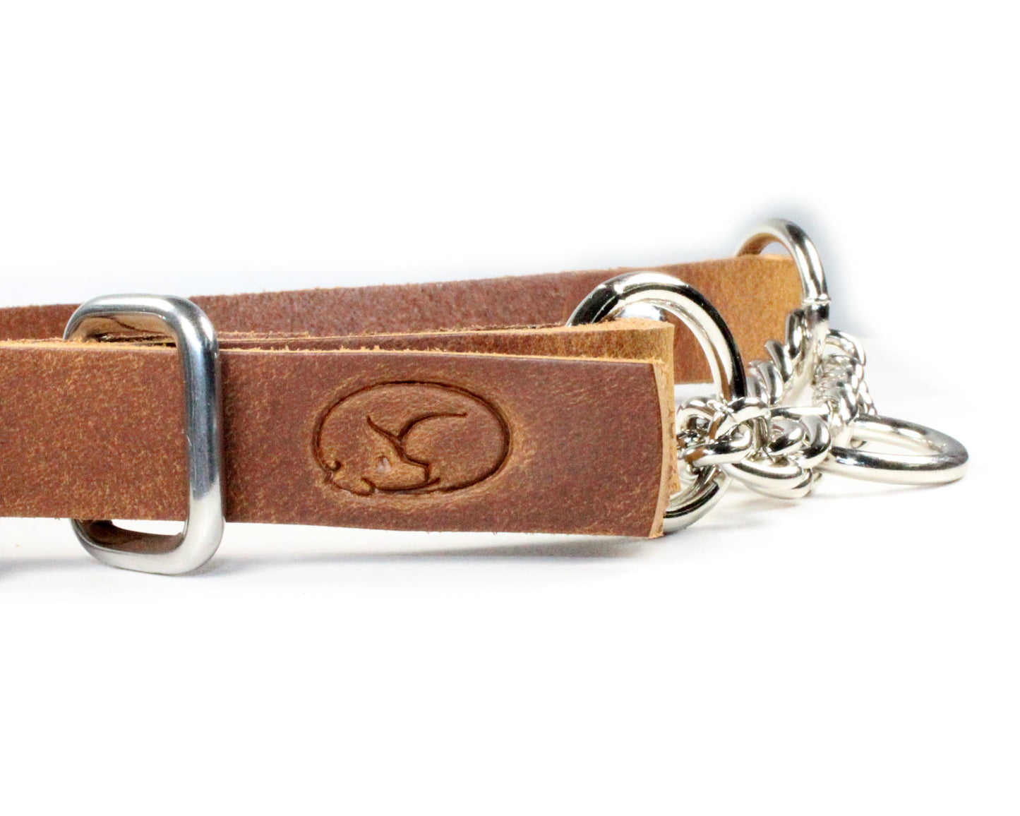 3/4" Small Dog Adjustable Leather Martingale Chain Dog Collar