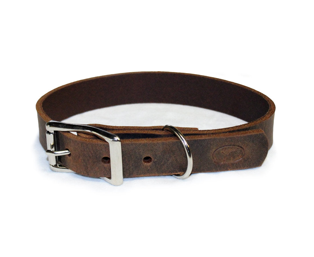 Dark Brown Thick Leather Dog Collar