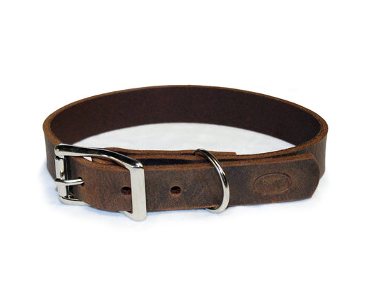 How to Clean & Care For Your Leather Dog Collar – sleepy pup