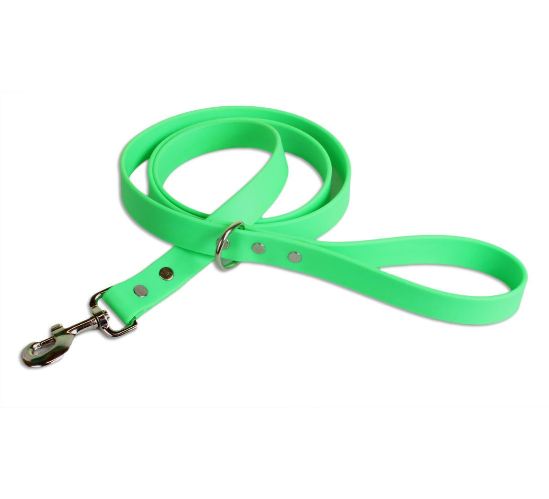 Green Dog Leash