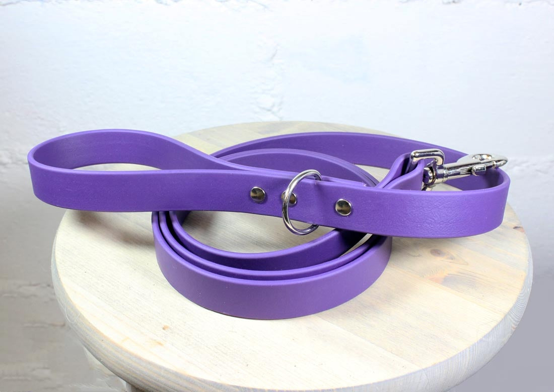 Purple Dog Leash