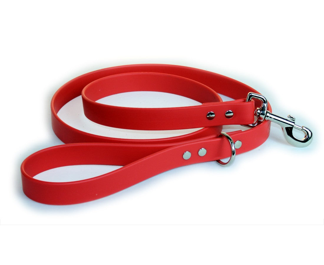 Red dog leash